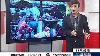 合肥电视台娱乐爆料,明星幕后故事大曝光  第1张